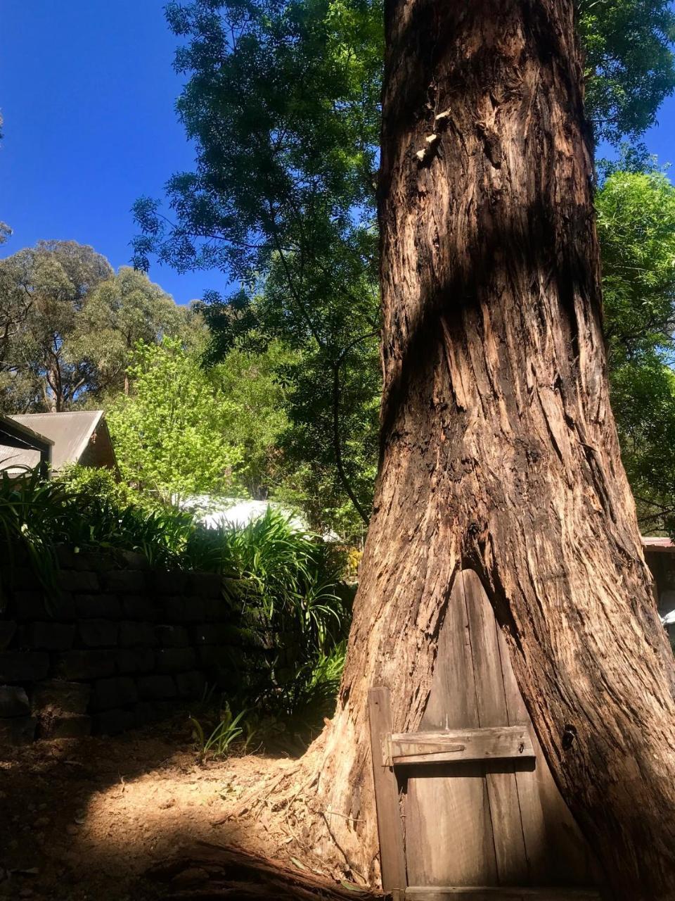 Emerald Star Cottages Εξωτερικό φωτογραφία