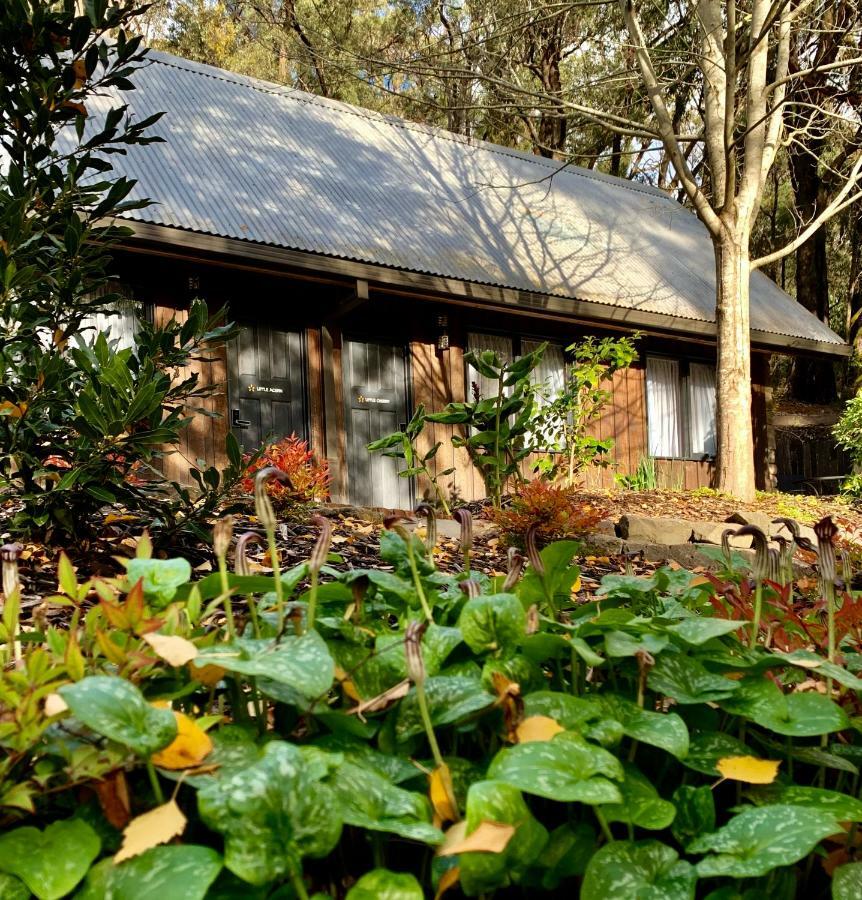 Emerald Star Cottages Εξωτερικό φωτογραφία
